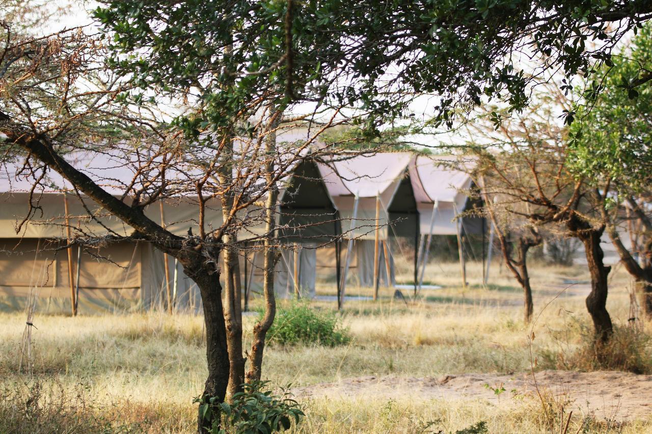 Olengoti Eco Safari Camp Hotel Talek Ngoại thất bức ảnh